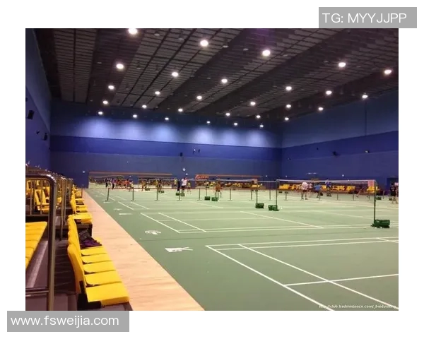 西安羽毛球队运营模式分析与发展前景探讨