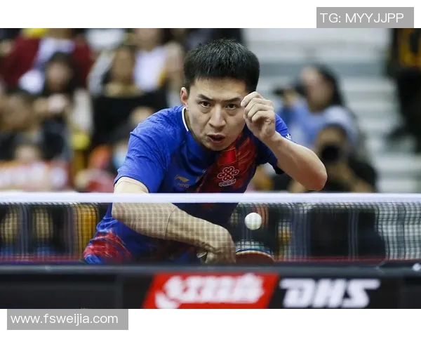 深圳乒乓球队速度之争引发热议球迷与专家各执己见探讨技术与战术