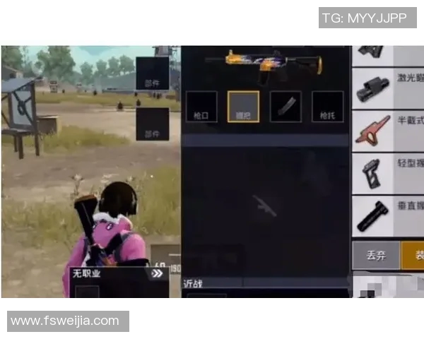 深入探讨和平精英的成功秘诀与黄娜的独特见解