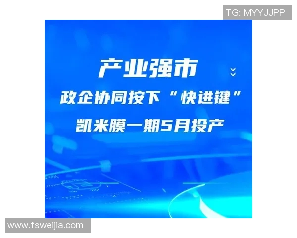 聚焦政策创新与执行力提升推动经济高质量发展的路径探索