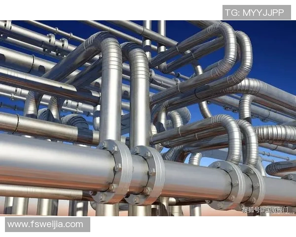 水管阀门选择与维护技巧解析，确保家庭用水安全与节能高效运行