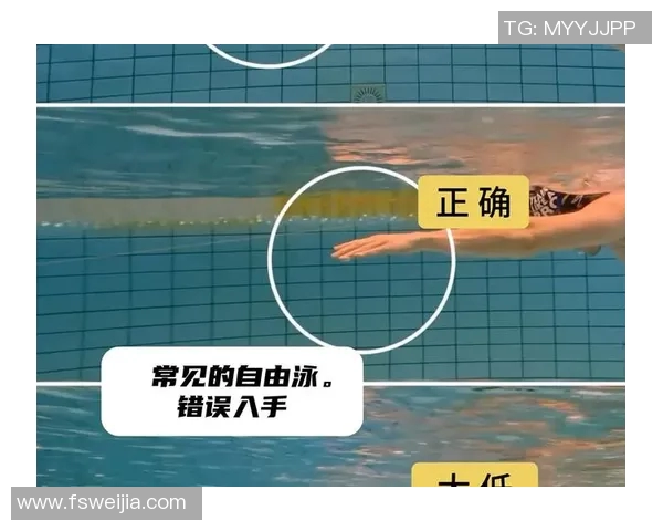 自由泳训练中常见的错误及其纠正方法详解